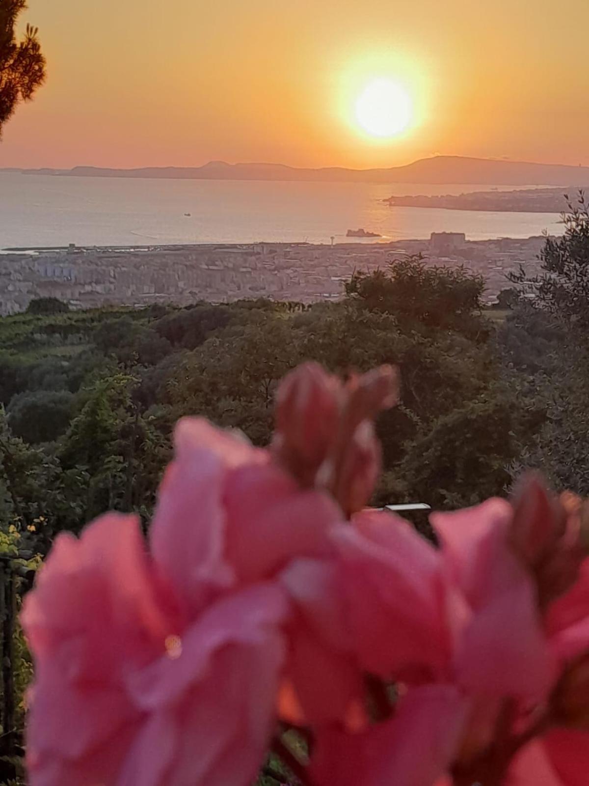 Bed and Breakfast La Vigna Del Vento Casola di Napoli Экстерьер фото