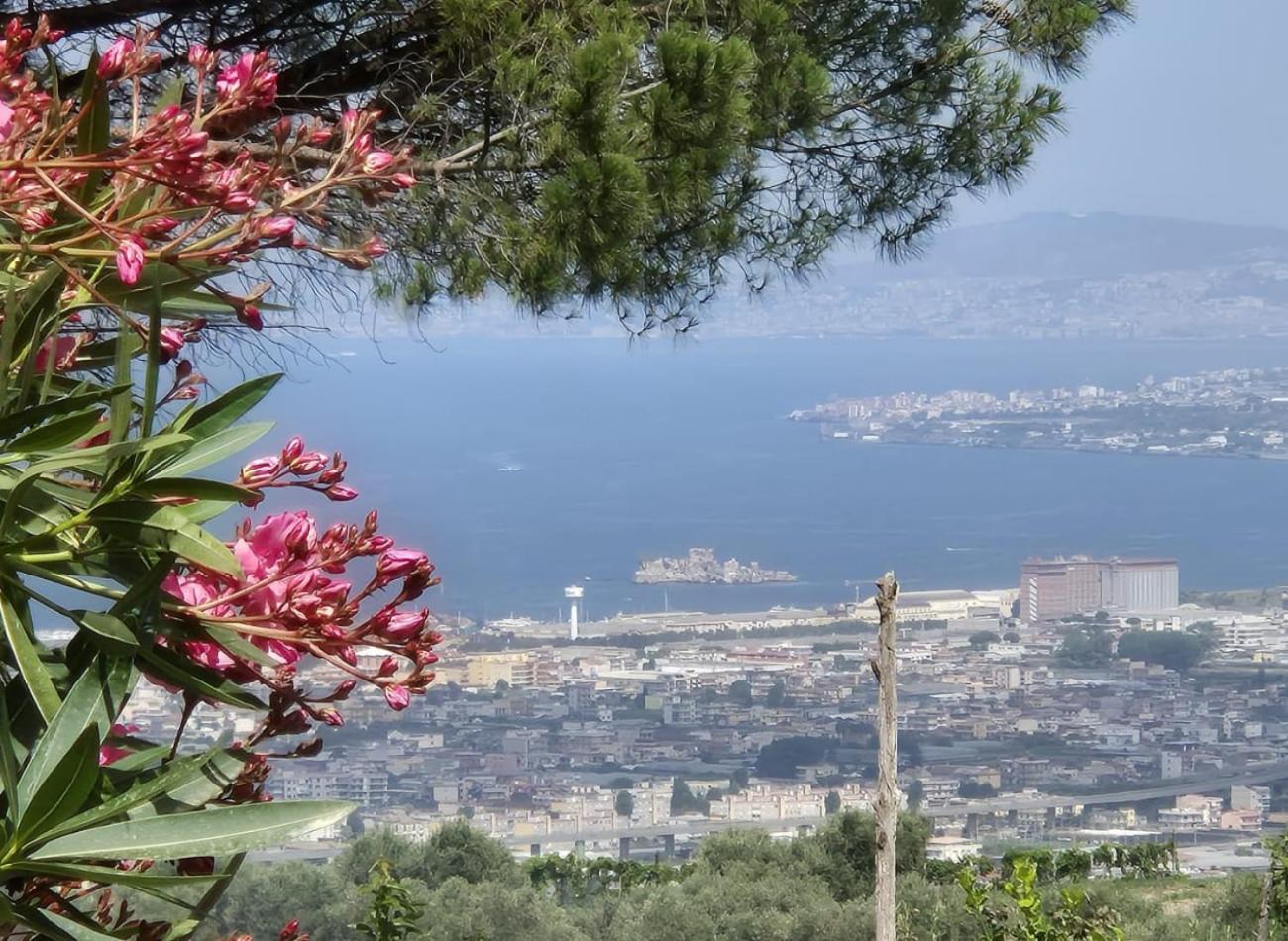 Bed and Breakfast La Vigna Del Vento Casola di Napoli Экстерьер фото